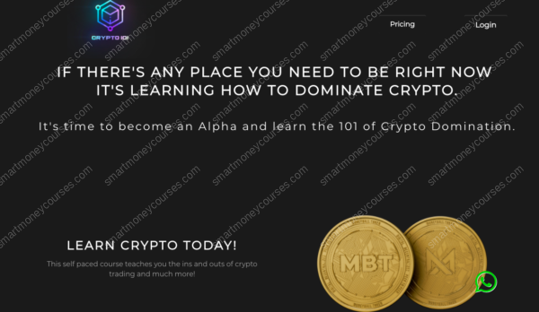 MoneyBall - CryptoDomination 101-Premium - Image 4