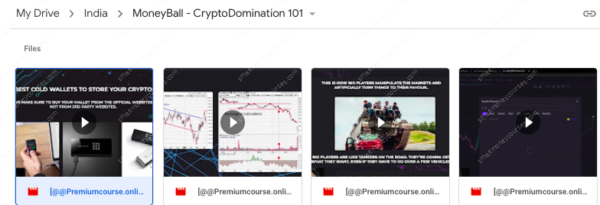 MoneyBall - CryptoDomination 101-Premium - Image 2