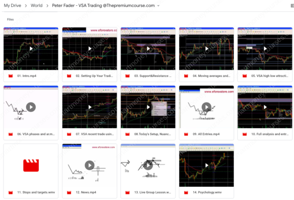 Peter Fader-VSA Trading Video Course-Premium - Image 2